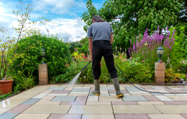 Best Driveway Pressure Washing  in St Ann, MO